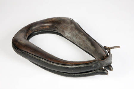 Horse harness