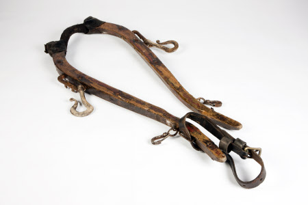 Horse harness