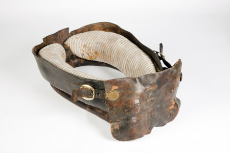 Horse harness
