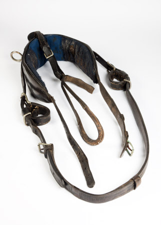 Horse harness