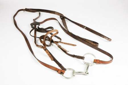 Horse bridle