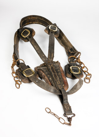 Horse harness
