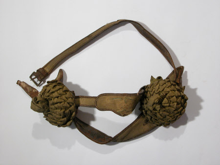 Rosette