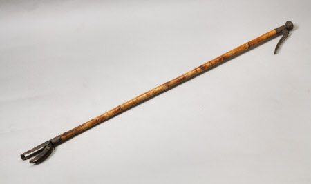 Walking cane