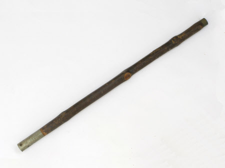 Walking stick