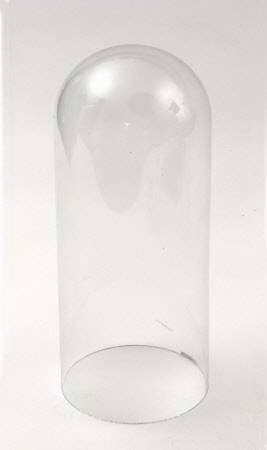 Tyntesfield © National Trust / Volunteer photographic team