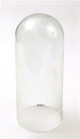 Tyntesfield © National Trust / Volunteer photographic team