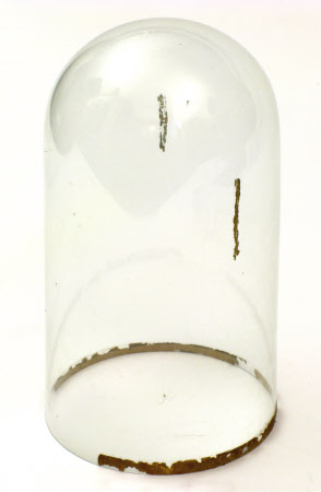 Tyntesfield © National Trust / Volunteer photographic team