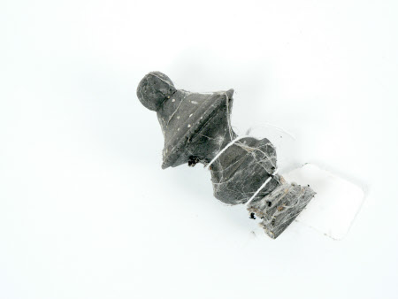 Tyntesfield © National Trust / Volunteer photographic team