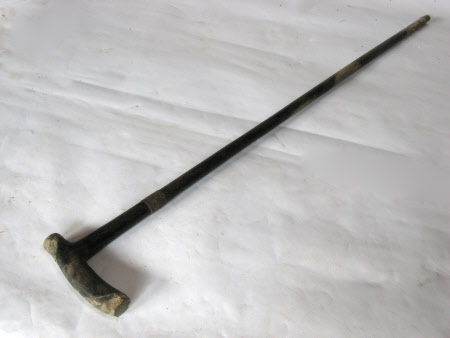 Walking stick
