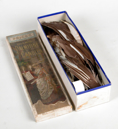 Feather collection
