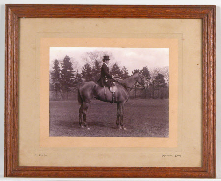 Photograph