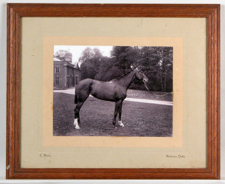 Photograph