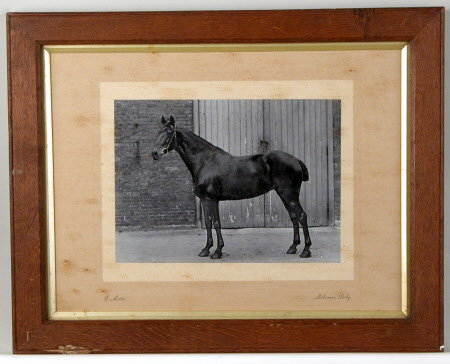 Photograph