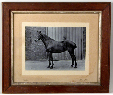 Photograph