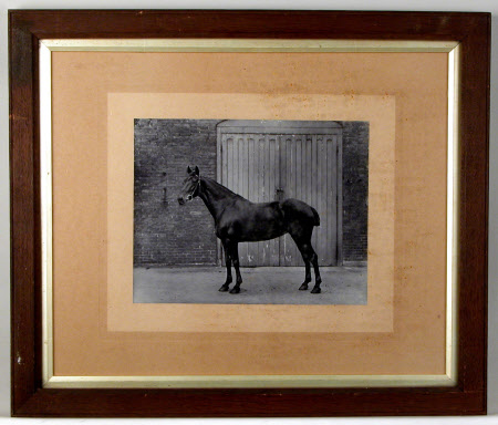 Photograph