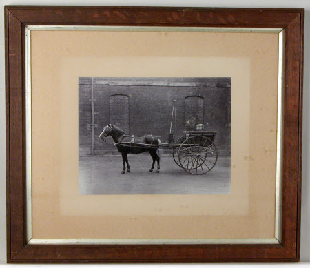 Photograph