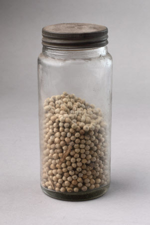 Pulses