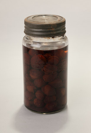 Jar of damsons