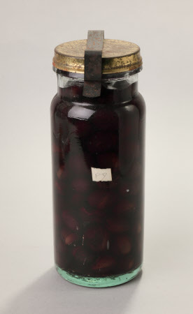 Preserved fruit jar
