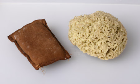 Sponge