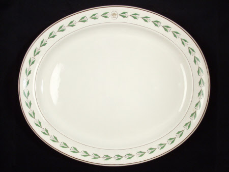 Dish