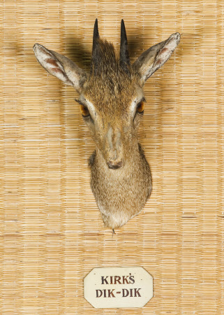 Tatton Park  © Tatton Park/Cheshire East Council/National Trust