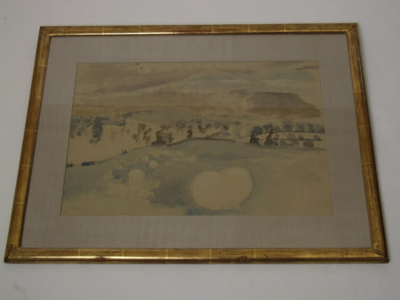 Landscape with Puffball