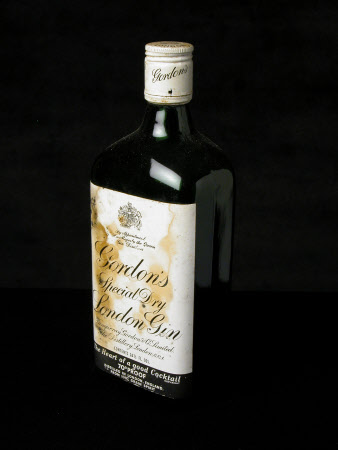 Gin bottle