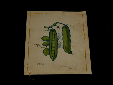 Embroidery card