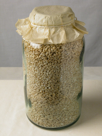 Pickling jar