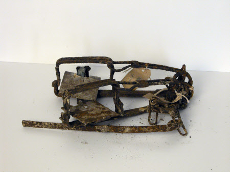 Mole trap