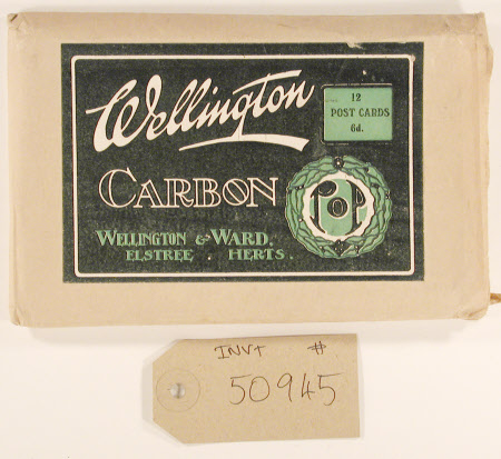 Wellington Carbon