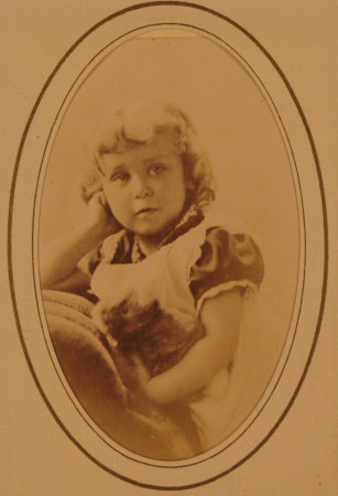 Carte-de-visite