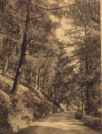 By L. Tay Perthahore