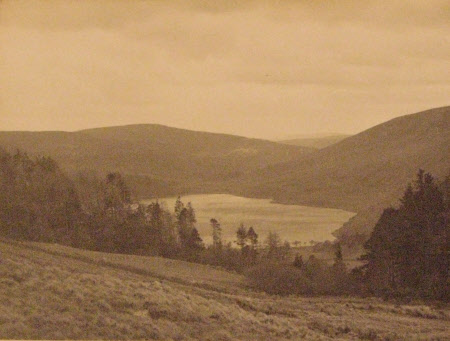 L. Tay Wicklow, 1903