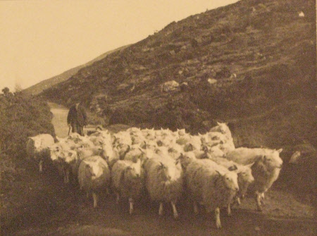 W. Drumgoff