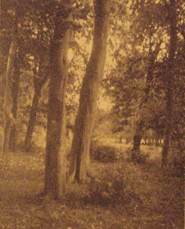 Contained in album