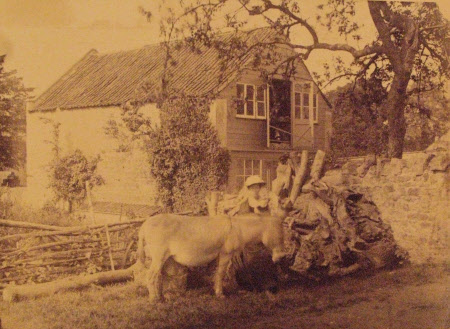 1889