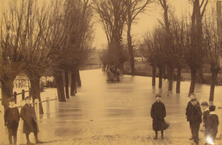 Monochrome print contained in album