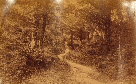 Monochrome print contained in album