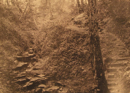 Ecclesbourne Glen, Hastings