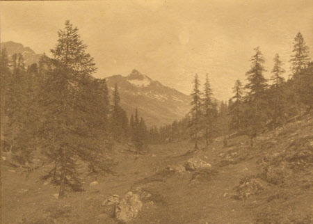 Views from the Celerina Alp - Piz Languard