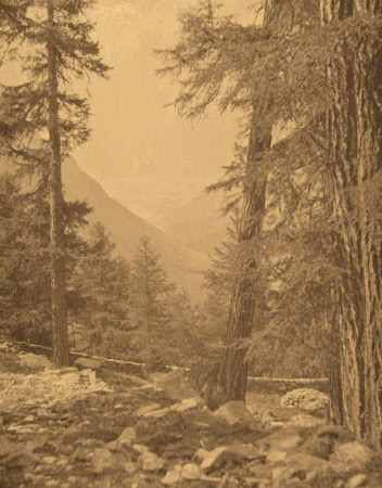 On the Schafberg