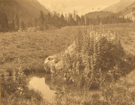 Four views in the Roseg Valley