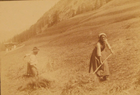 Haymakers
