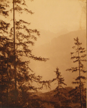 Monochrome print contained in album