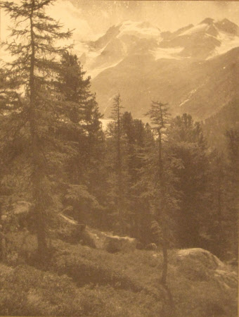 Monochrome print contained in album
