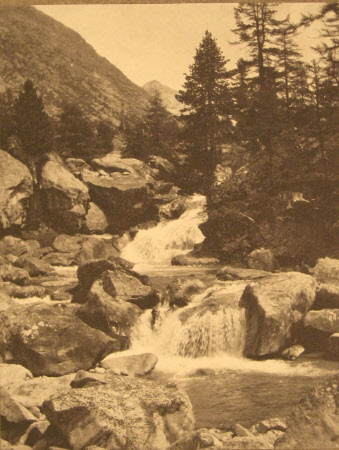 Monochrome print contained in album