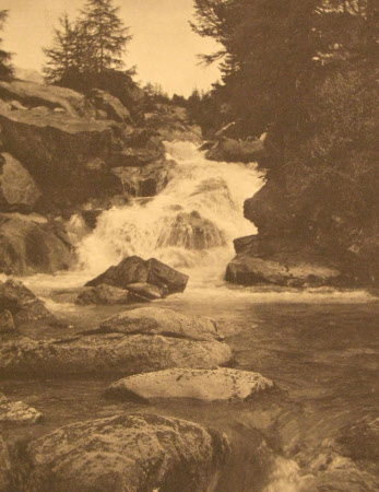 Monochrome print contained in album